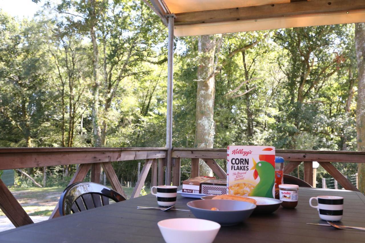 Camping Le Ruisseau Saint-André-de-Seignaux Kültér fotó