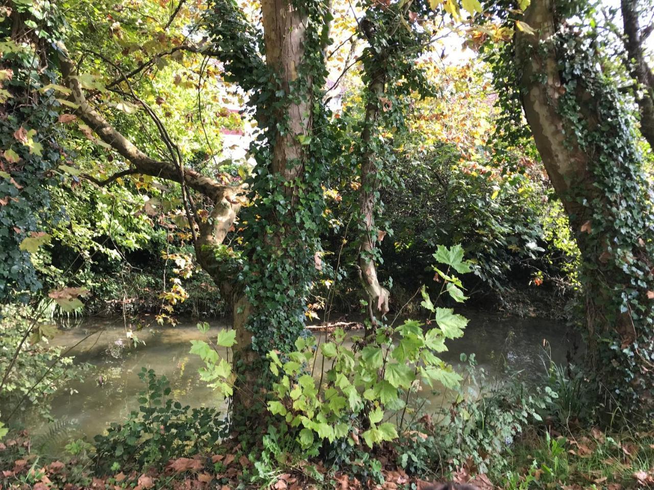 Camping Le Ruisseau Saint-André-de-Seignaux Kültér fotó